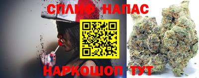 гидра Славгород