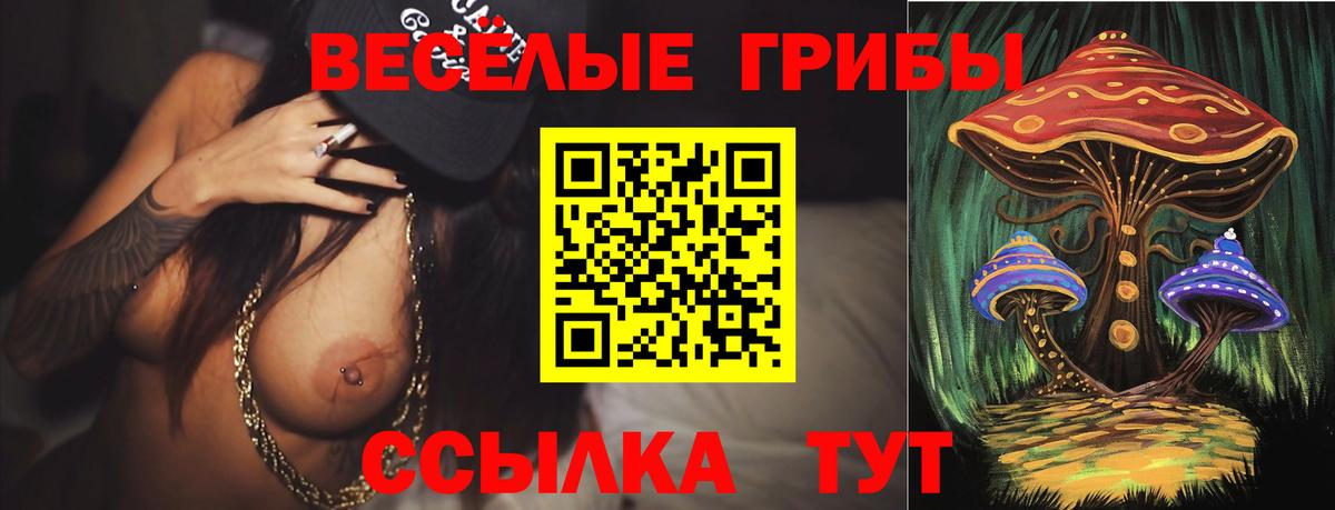 Павловский Посад  Псилоцибиновые грибы MAGIC MUSHROOMS  Вход с VPN 